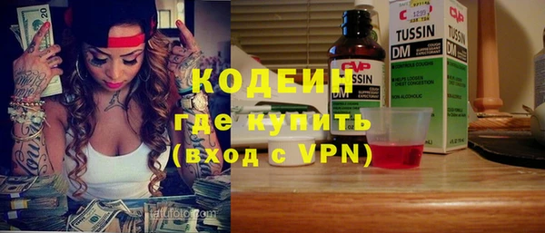 индика Приозерск